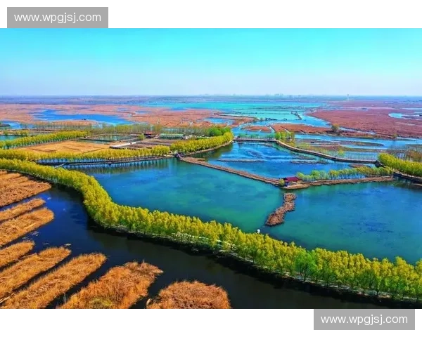 构建以体育商业闭环驱动的全链路增长生态新格局发展方略体系构建