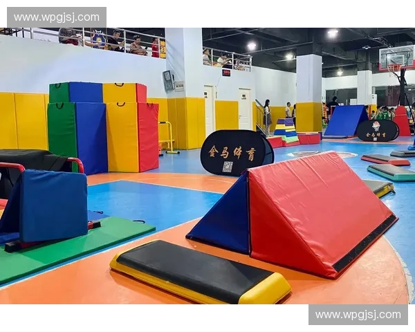 全面提升体能与技能的青少年体育培训课程体系创新方案